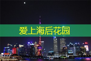 上海新茶资源：重拾绿意：漫步上海后花园的美丽奇遇！