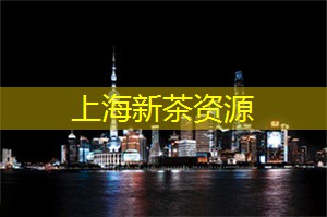 上海新茶工作室：夜上海文化探索之旅，领略城市的独特魅力！