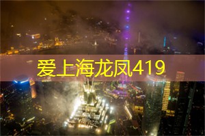 爱上海：上海新茶工作室：开启一场品茗之旅