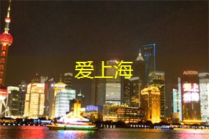 上海新茶网：探秘上海后花园：激发你对城市绿色空间的新认识！