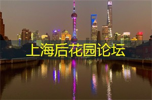 上海新茶工作室：上海新茶工作室：为什么每个年轻人都沉迷其中？